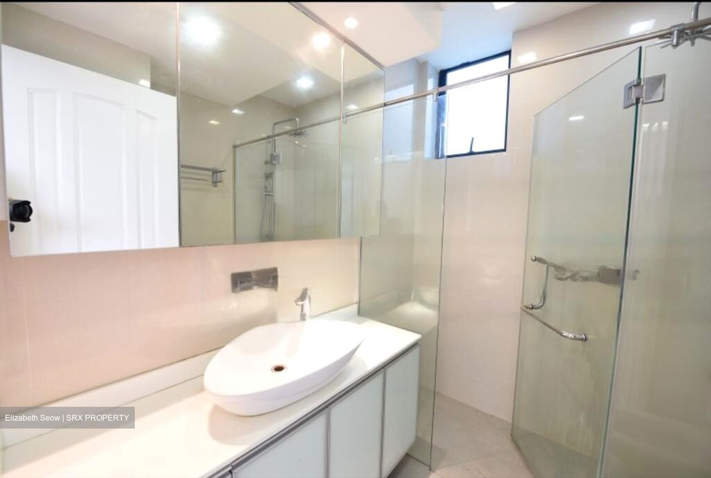 Spring Grove (D10), Condominium #492475961